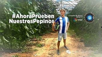 吃瓜大队米兰,揭秘足球圈背后的故事与八卦